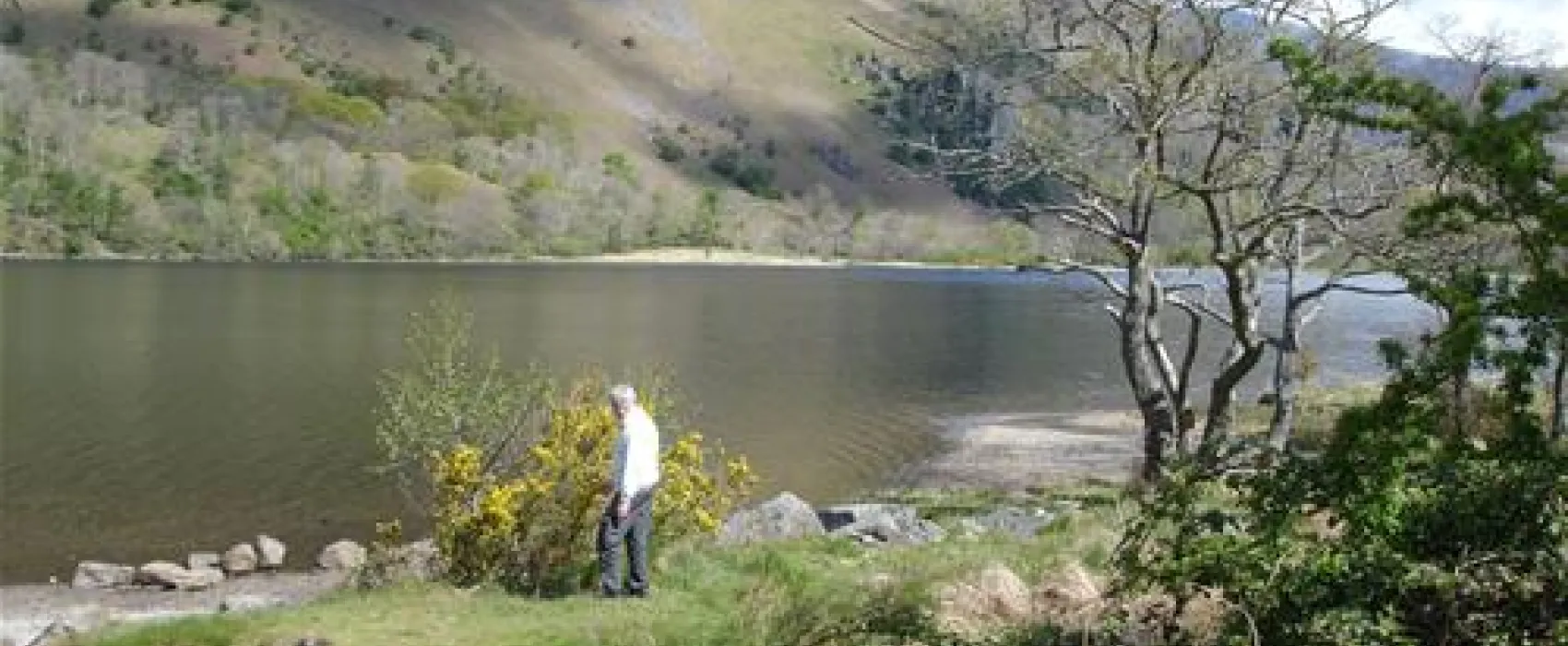 Coed-y-Llwyn Caravan Club Site
