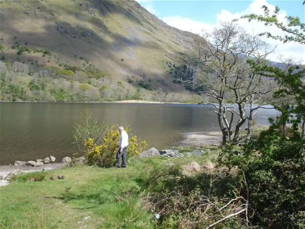 Coed-y-Llwyn Caravan Club Site