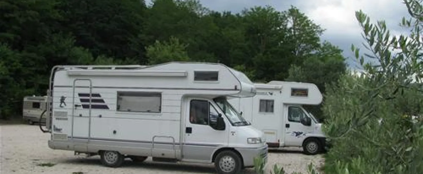 Motovun Camping