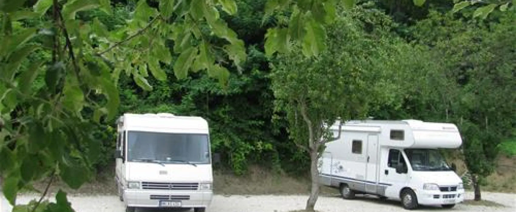 Motovun Camping