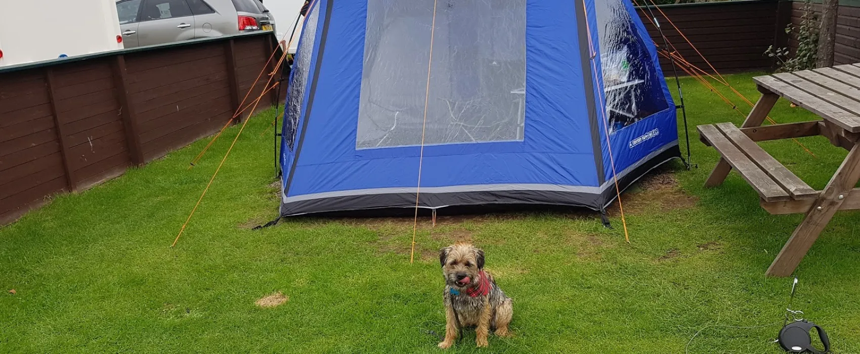Forth House Caravan Site