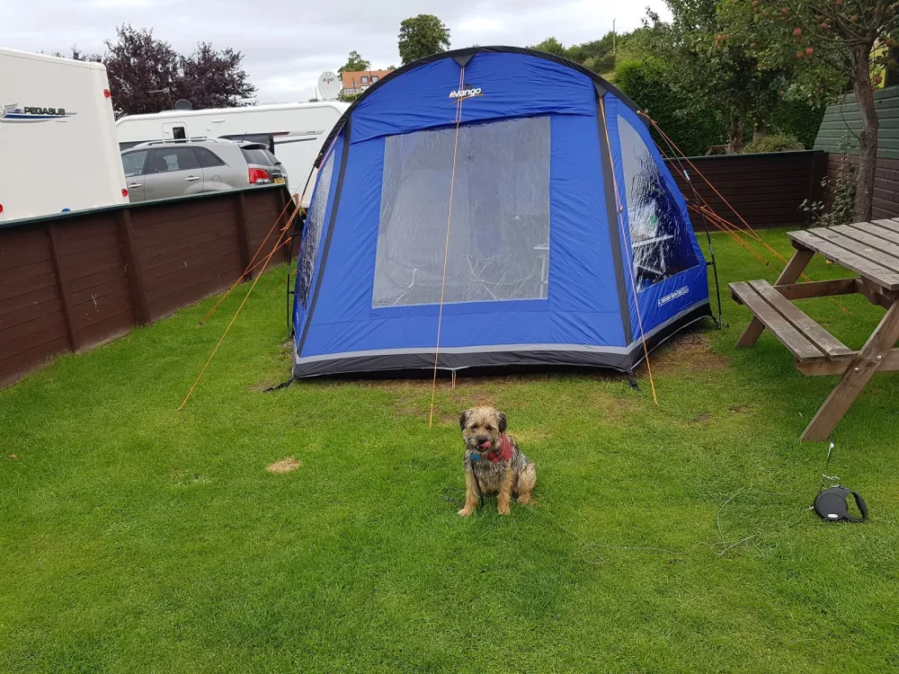 Forth House Caravan Site