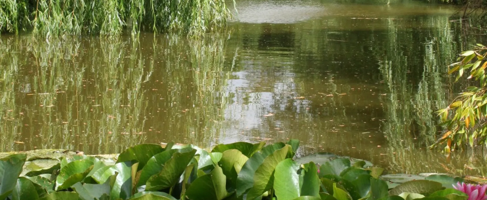 Camping Le Bois Joli  