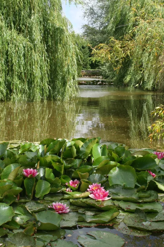 Camping Le Bois Joli  