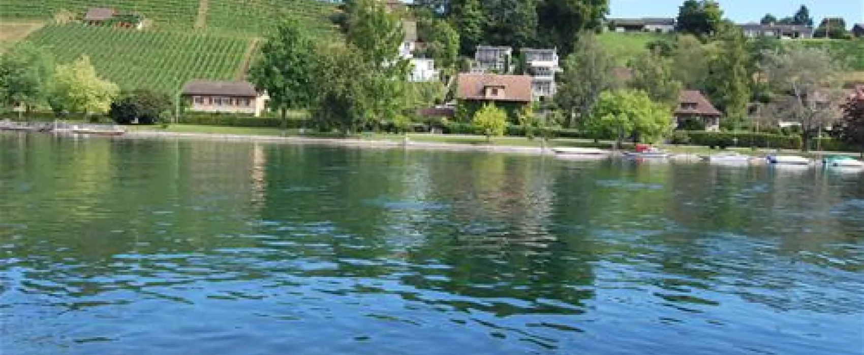 Tcs-camping Rheinwiesen