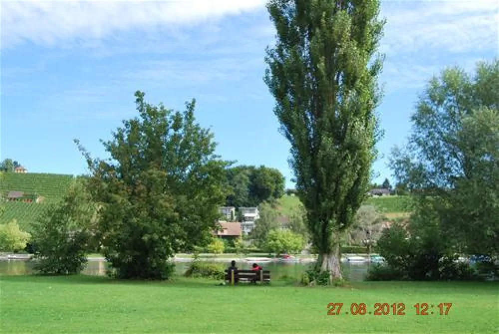 Tcs-camping Rheinwiesen