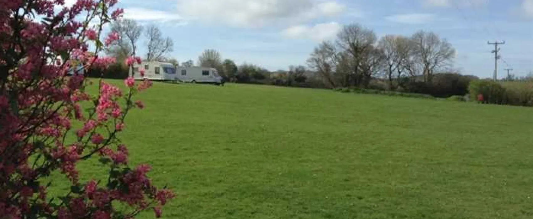 Kingsbridge Caravan Park