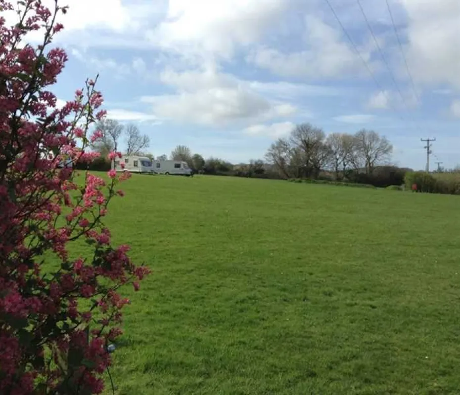 Kingsbridge Caravan Park