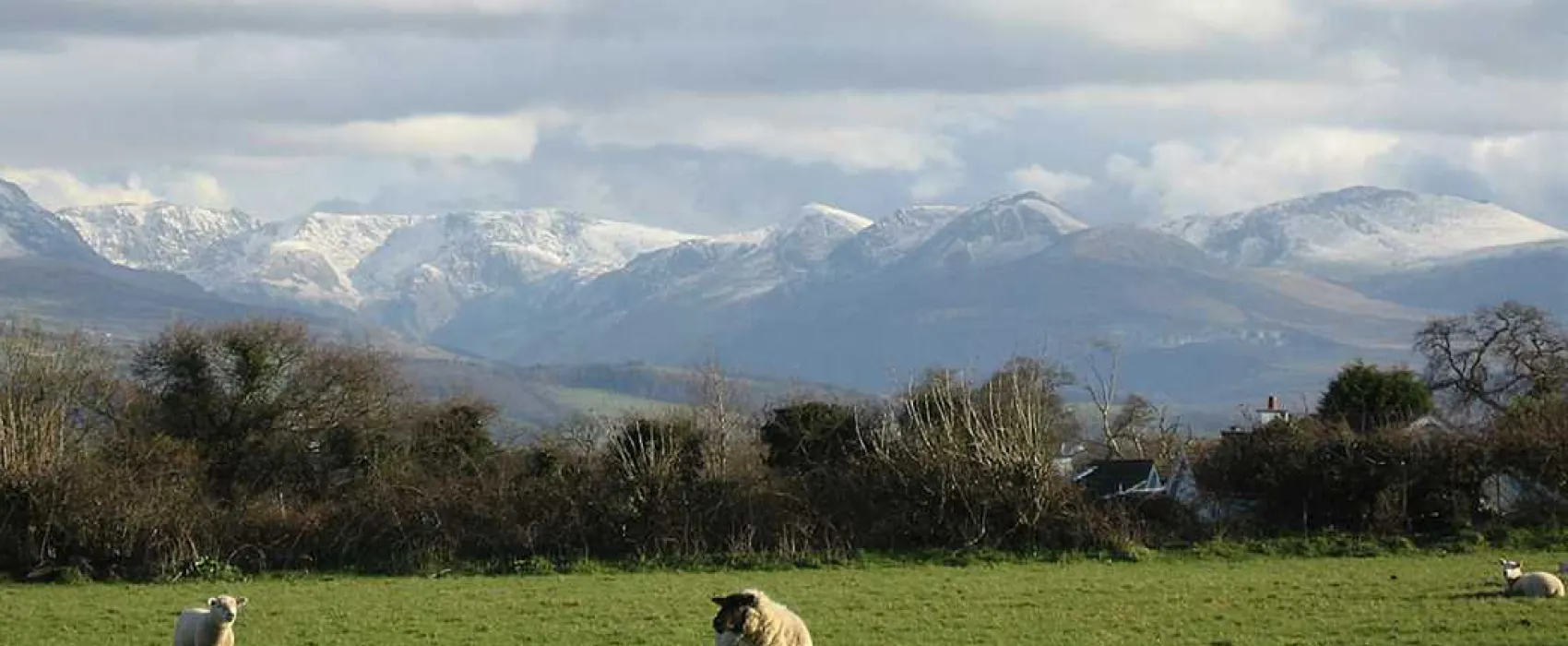 Kingsbridge Caravan Park