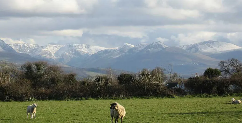 Kingsbridge Caravan Park