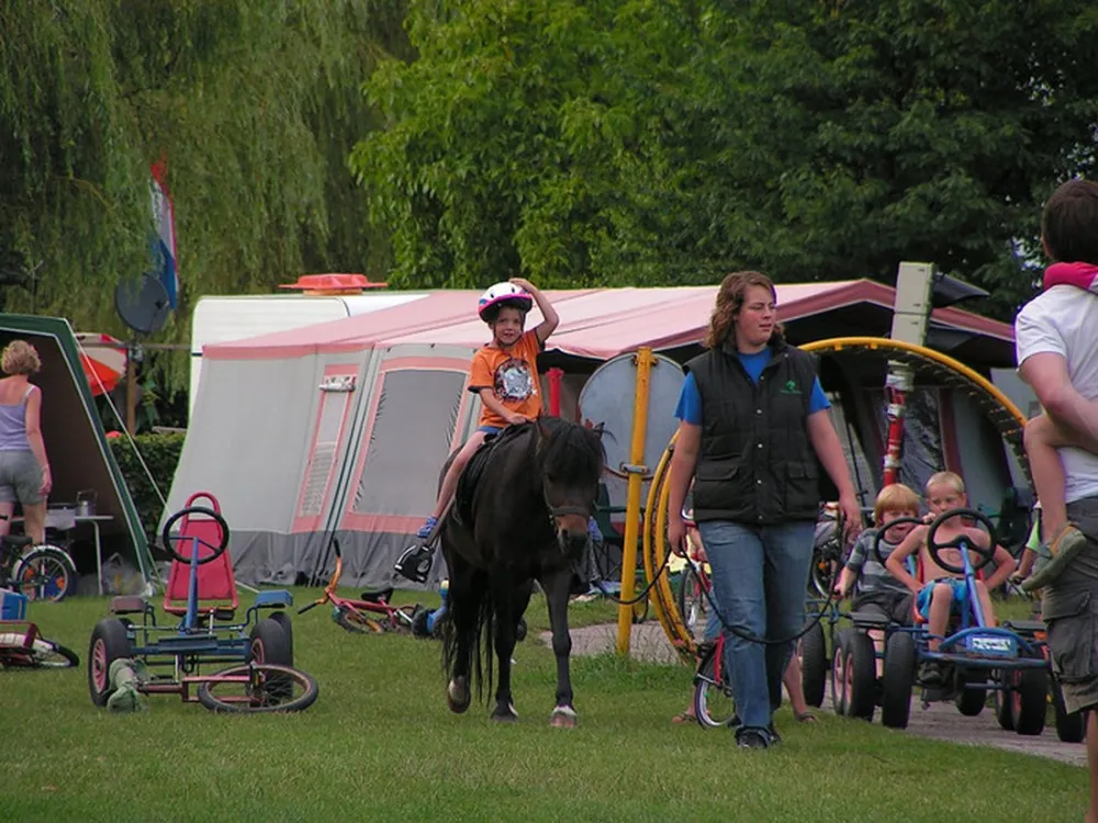 Camping Hoeve Heikant