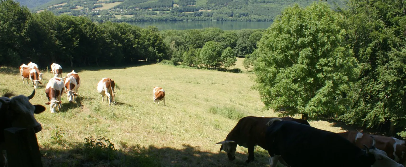 Camping Au Pré du Lac