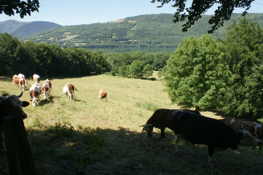 Camping Au Pré du Lac