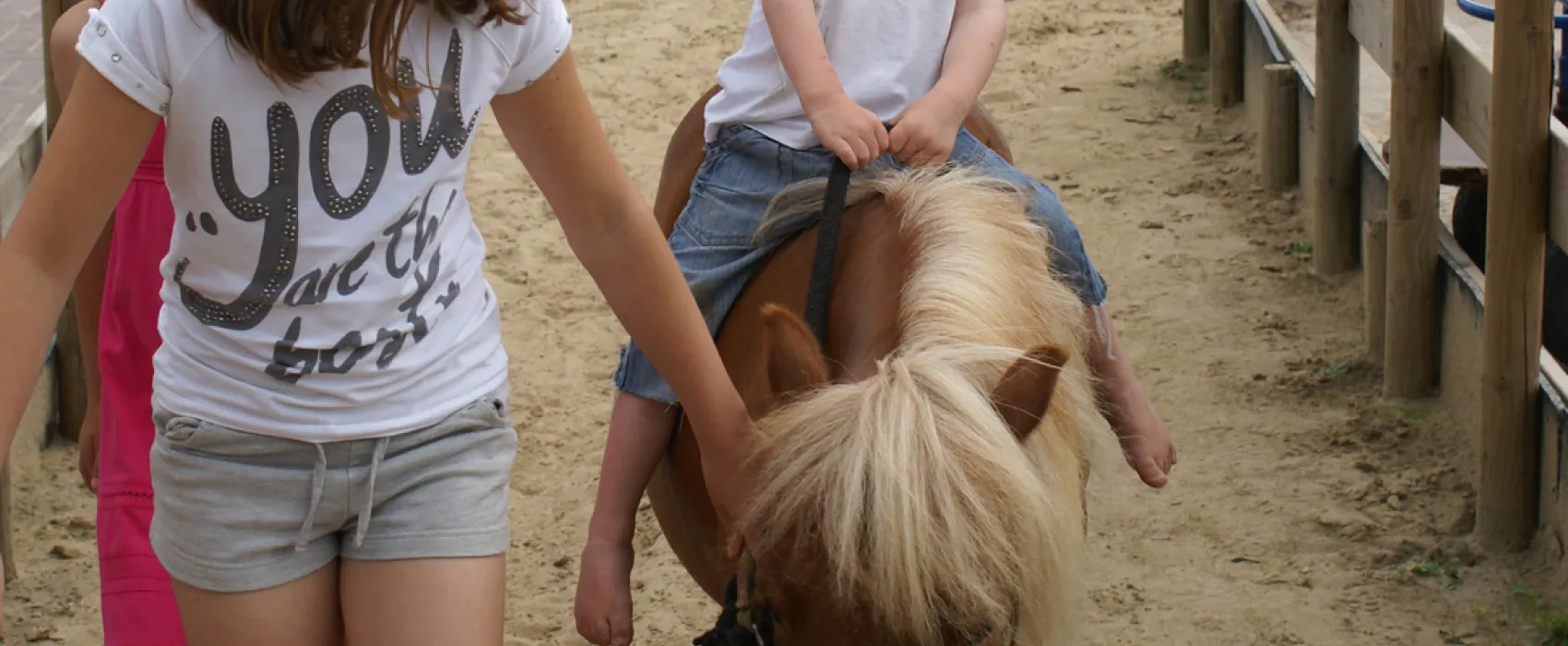 Camping De Flierefluiter