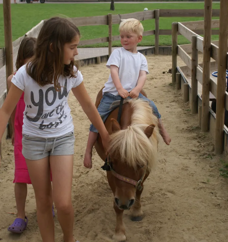 Camping De Flierefluiter