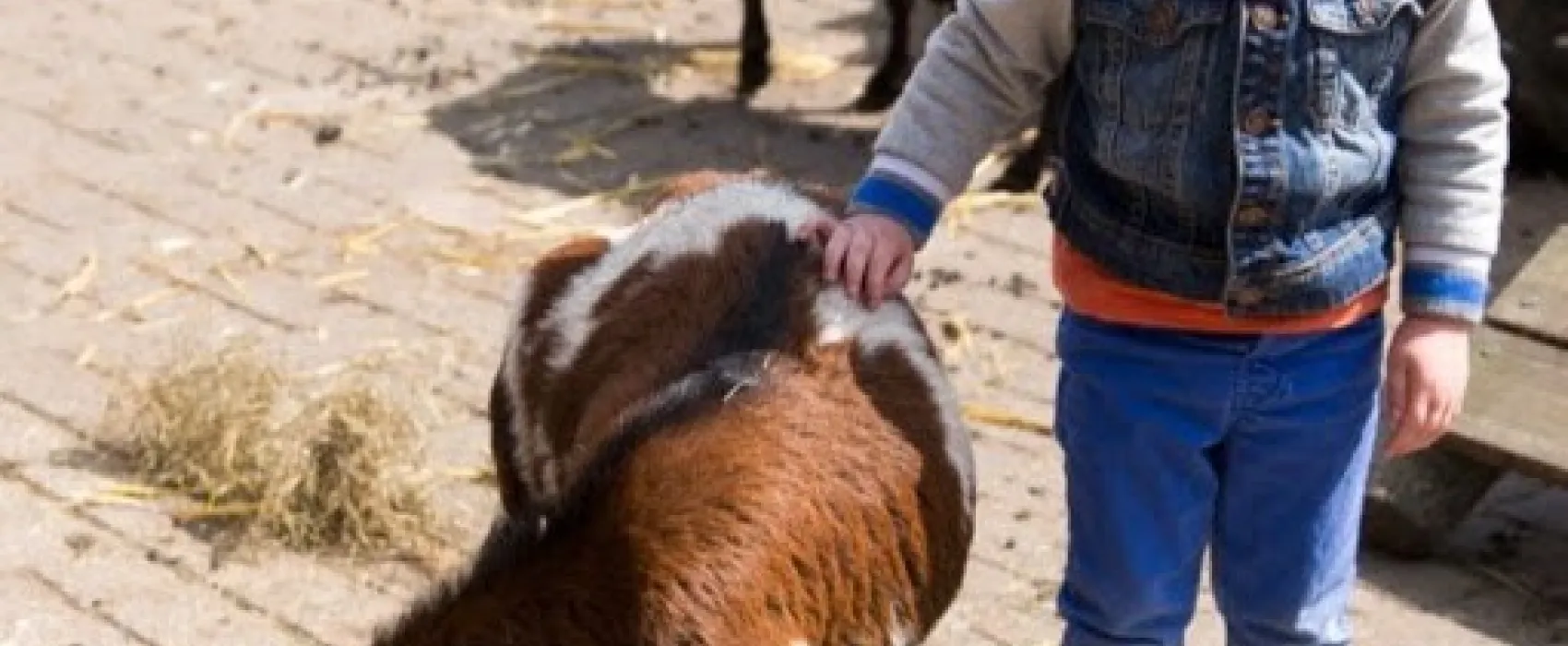 Camping De Flierefluiter