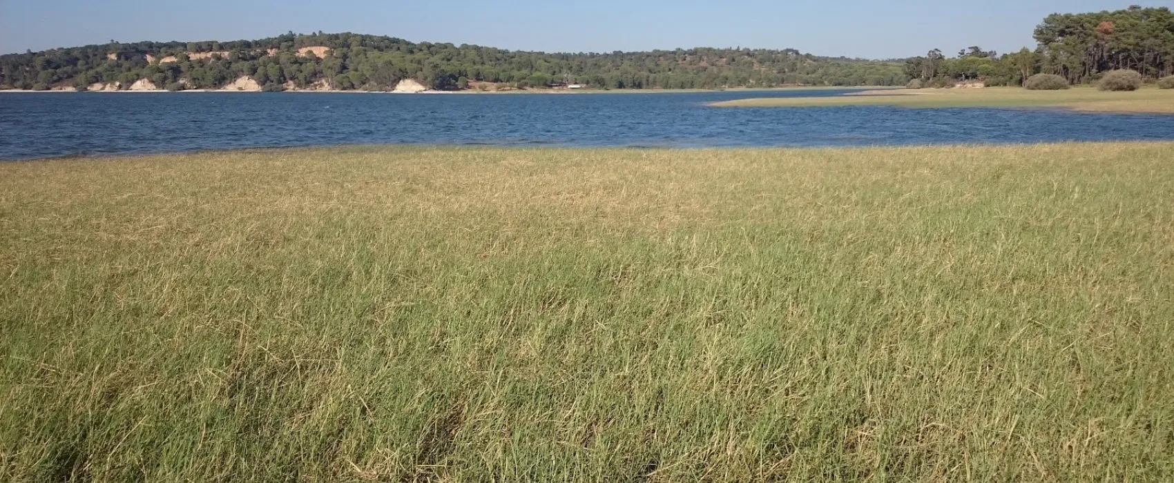 Parque de Campismo de Montargil / Orbitur