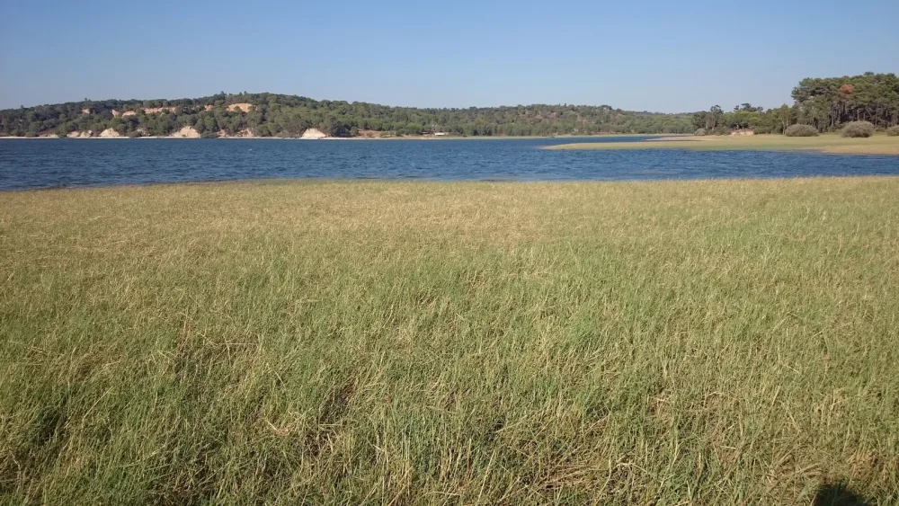 Parque de Campismo de Montargil / Orbitur