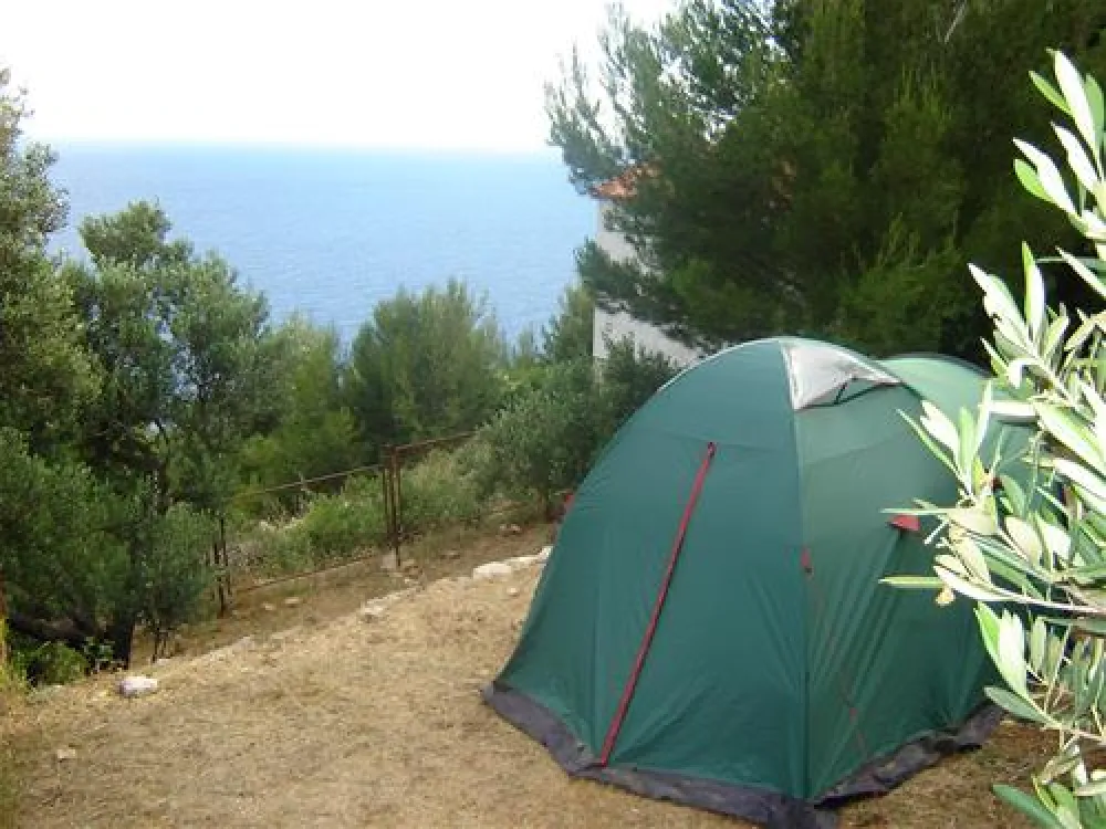 Camping Mungos