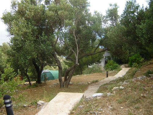 Camping Mungos photo 2