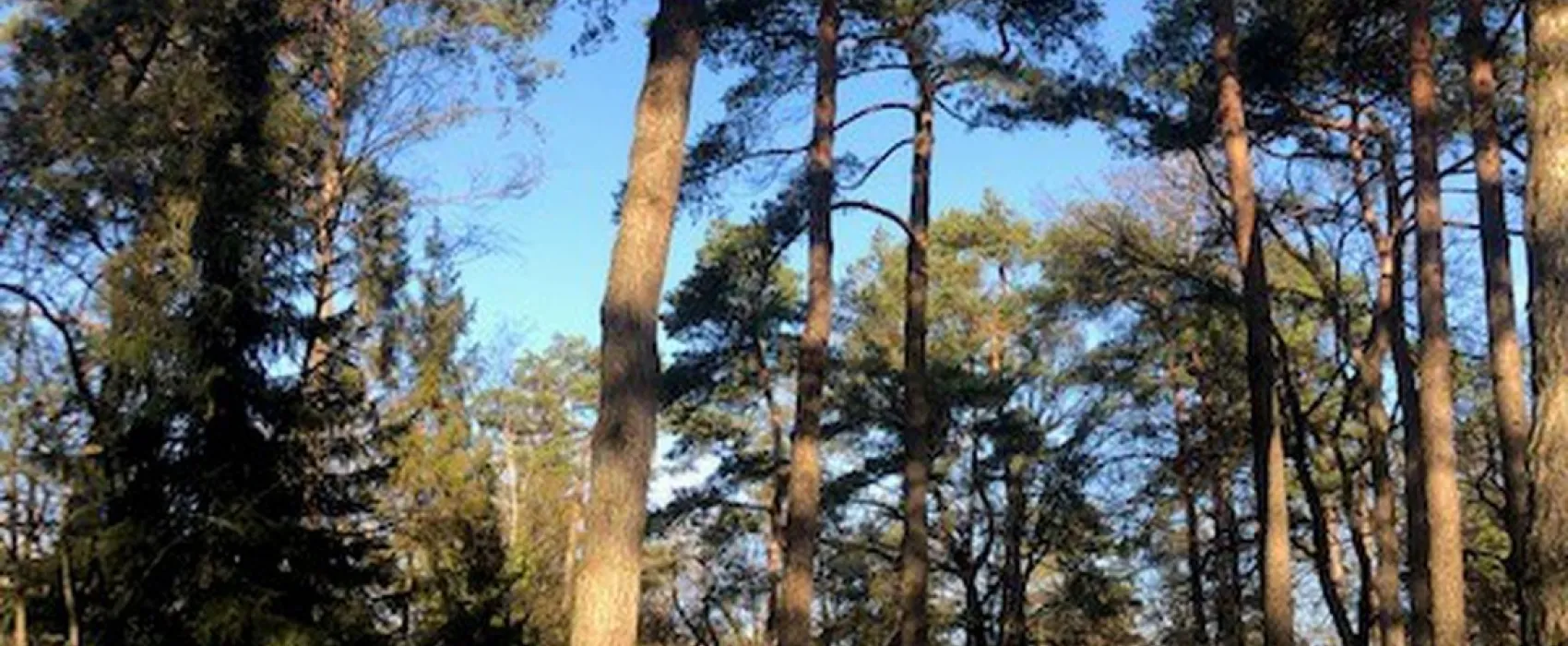 Landgoedcamping Het Meuleman