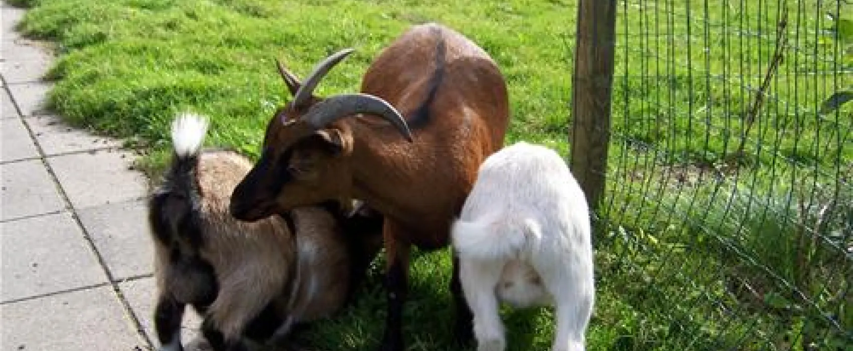 Zeeland Camping Westhove