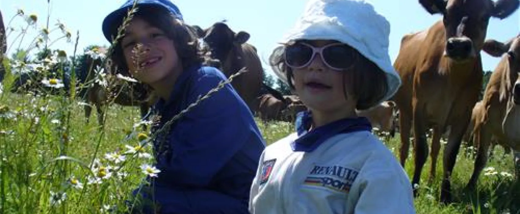 Gyvelborg Bondegaardscamping