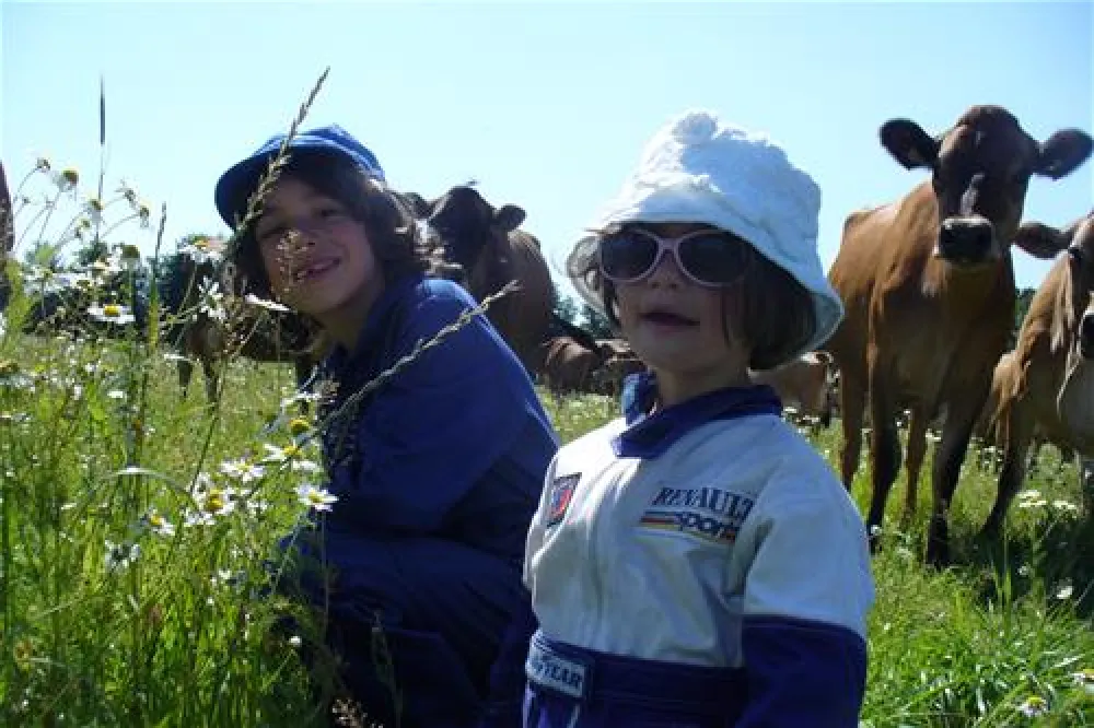 Gyvelborg Bondegaardscamping