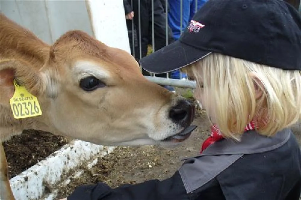 Gyvelborg Bondegaardscamping
