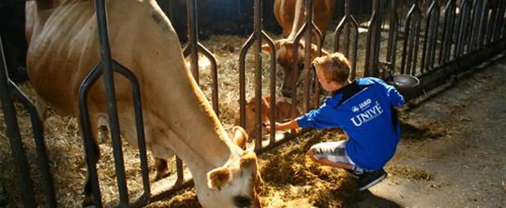 Gyvelborg Bondegaardscamping