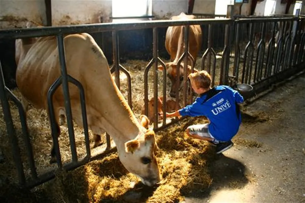 Gyvelborg Bondegaardscamping