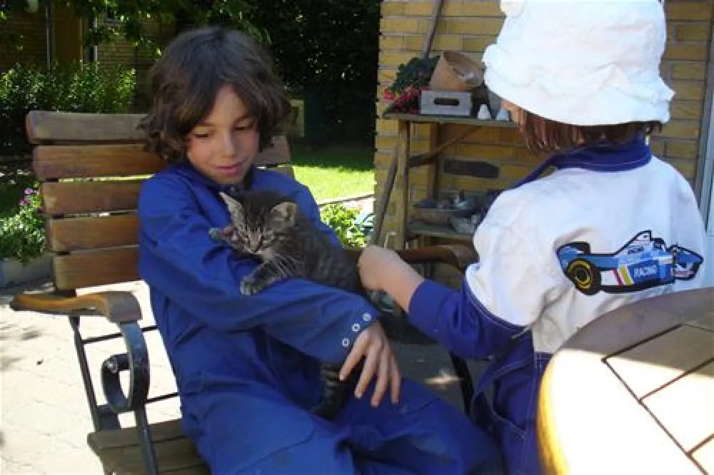 Gyvelborg Bondegaardscamping