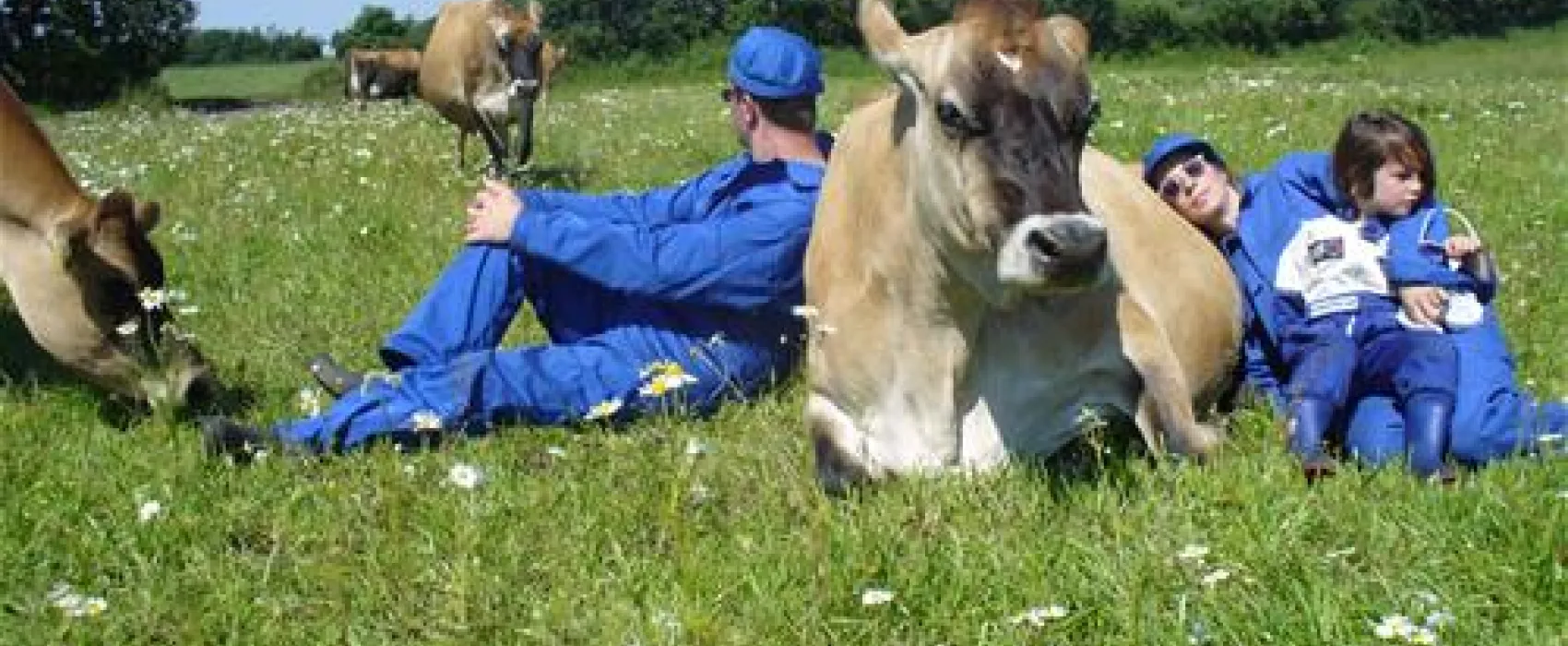 Gyvelborg Bondegaardscamping