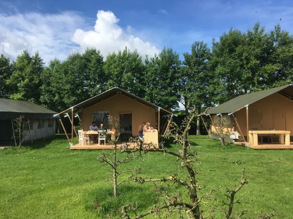 Arado, camping & lodge