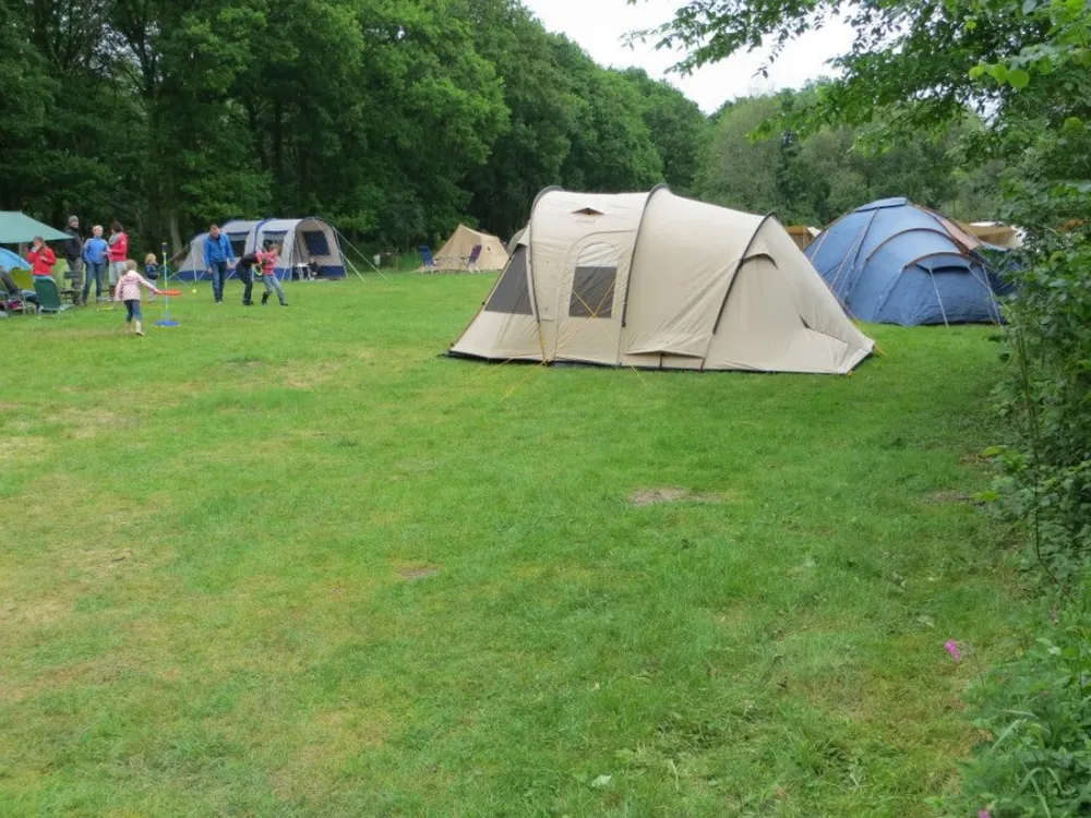 Natuurkampeerterrein De Ruigenhoek