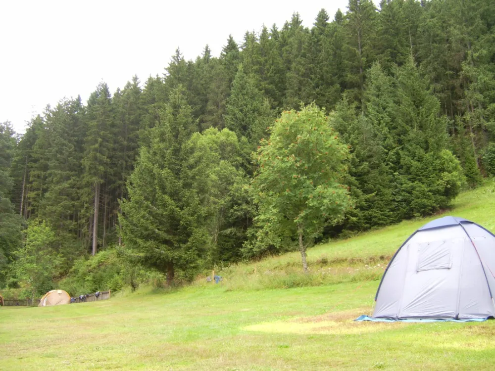 Camping Bankenhof