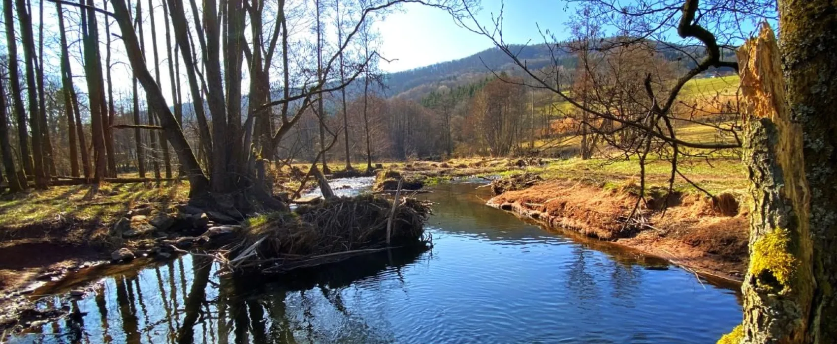 Stellplatz Rhöner Auersberg