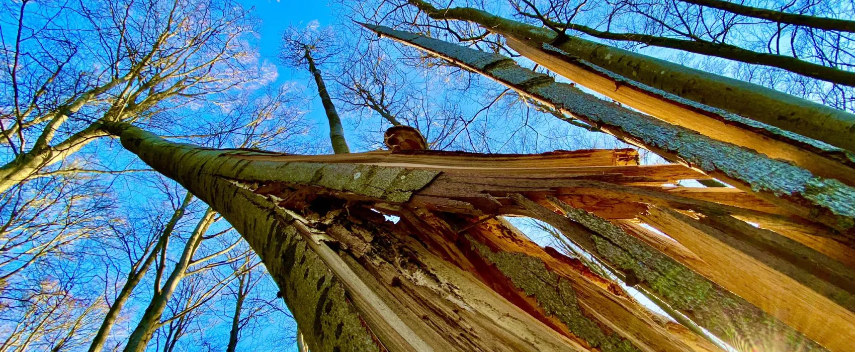 Stellplatz Rhöner Auersberg