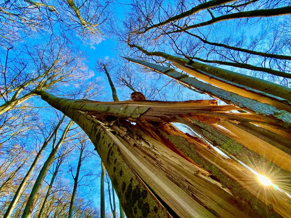 Stellplatz Rhöner Auersberg