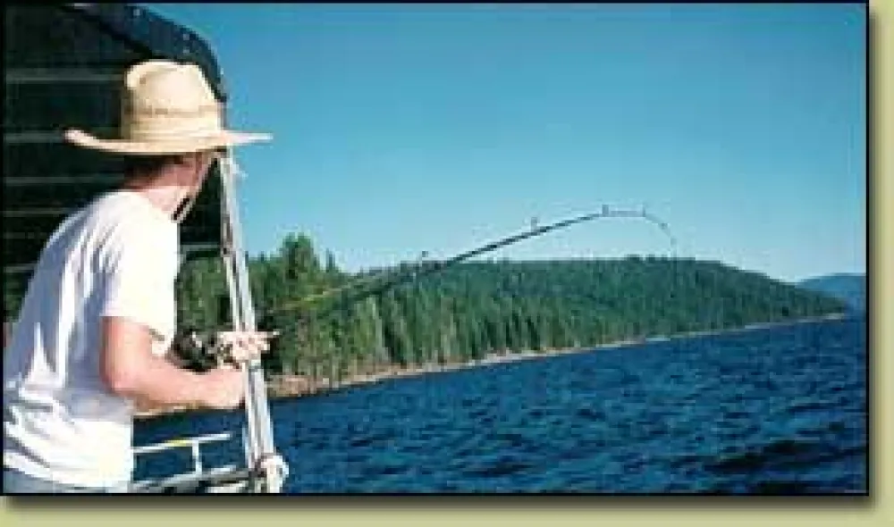 North Shore Campground