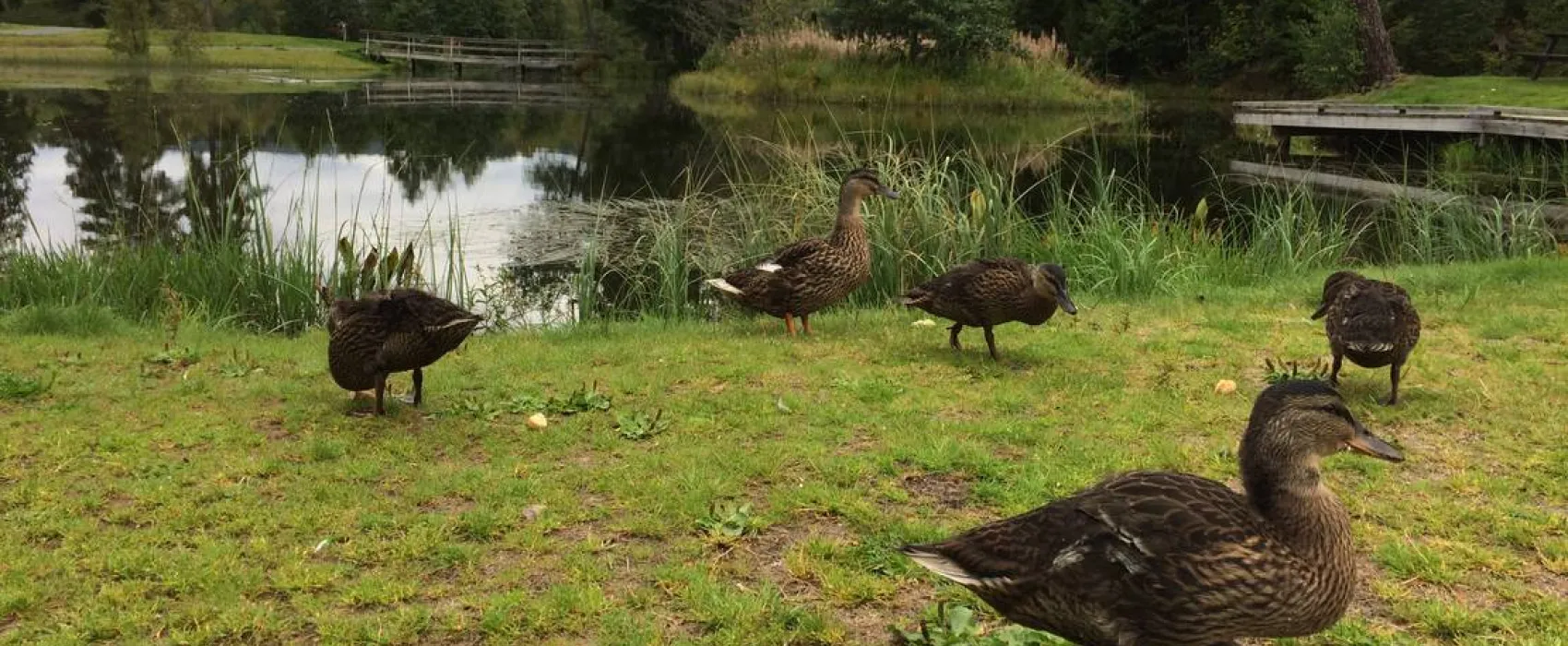 Telemark Kanalcamping