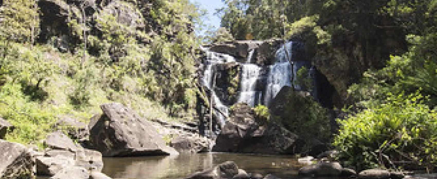 Stevensons Falls Campground