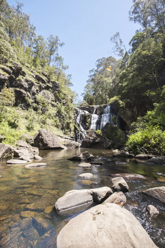 Stevensons Falls Campground