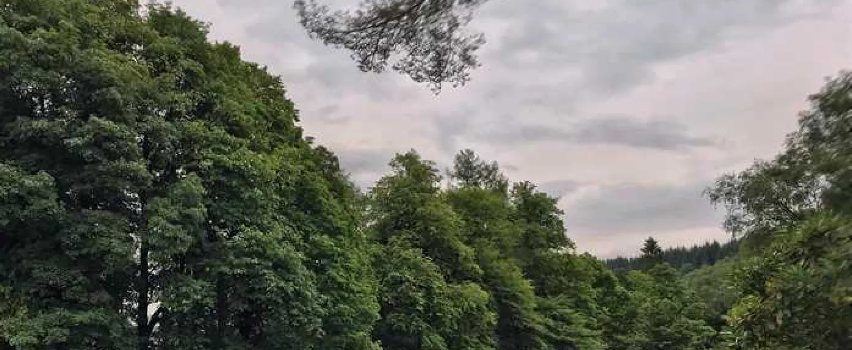 West Highland Way Campsite