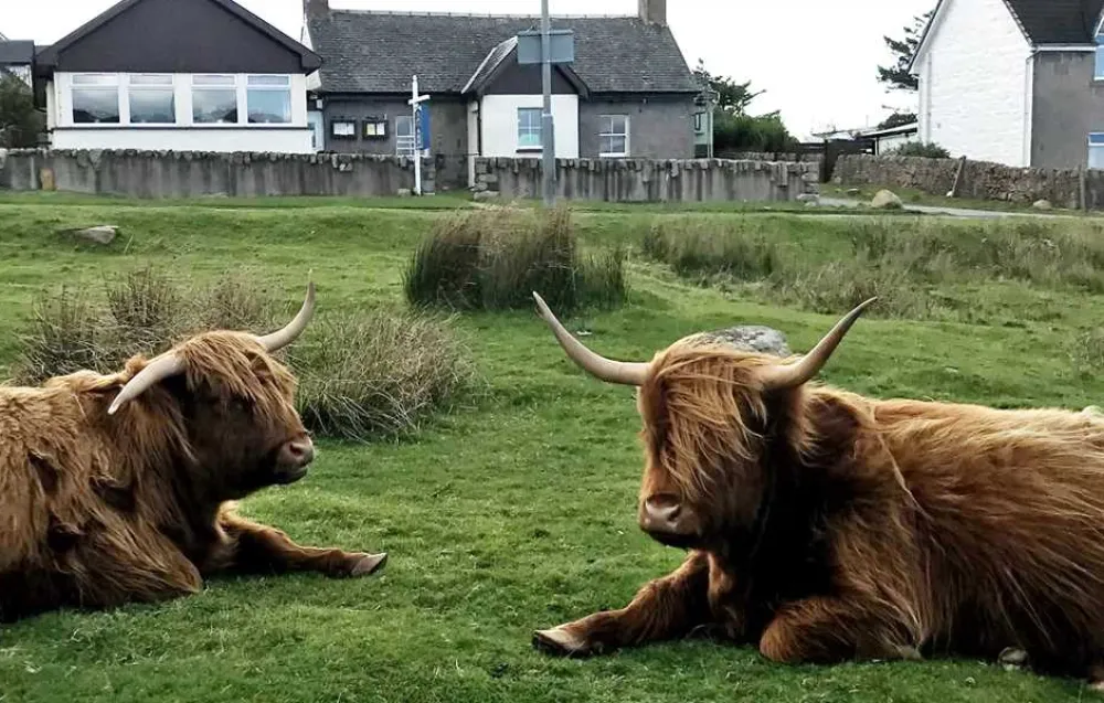 West Highland Way Campsite