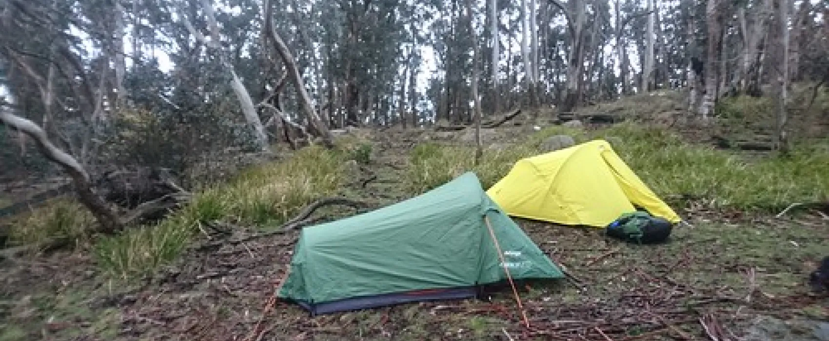 Ditchfield Campground