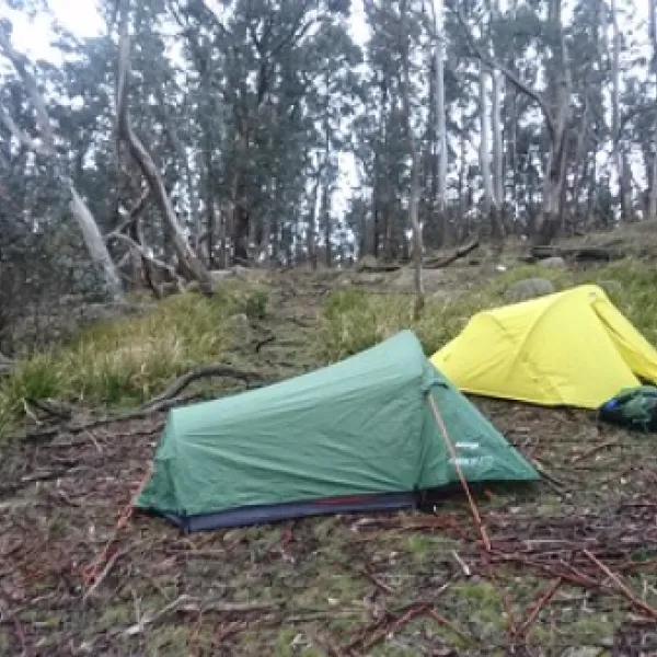 Ditchfield Campground