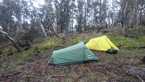Ditchfield Campground photo 3