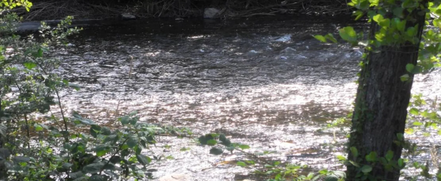 Camping Municipal Chouvigny