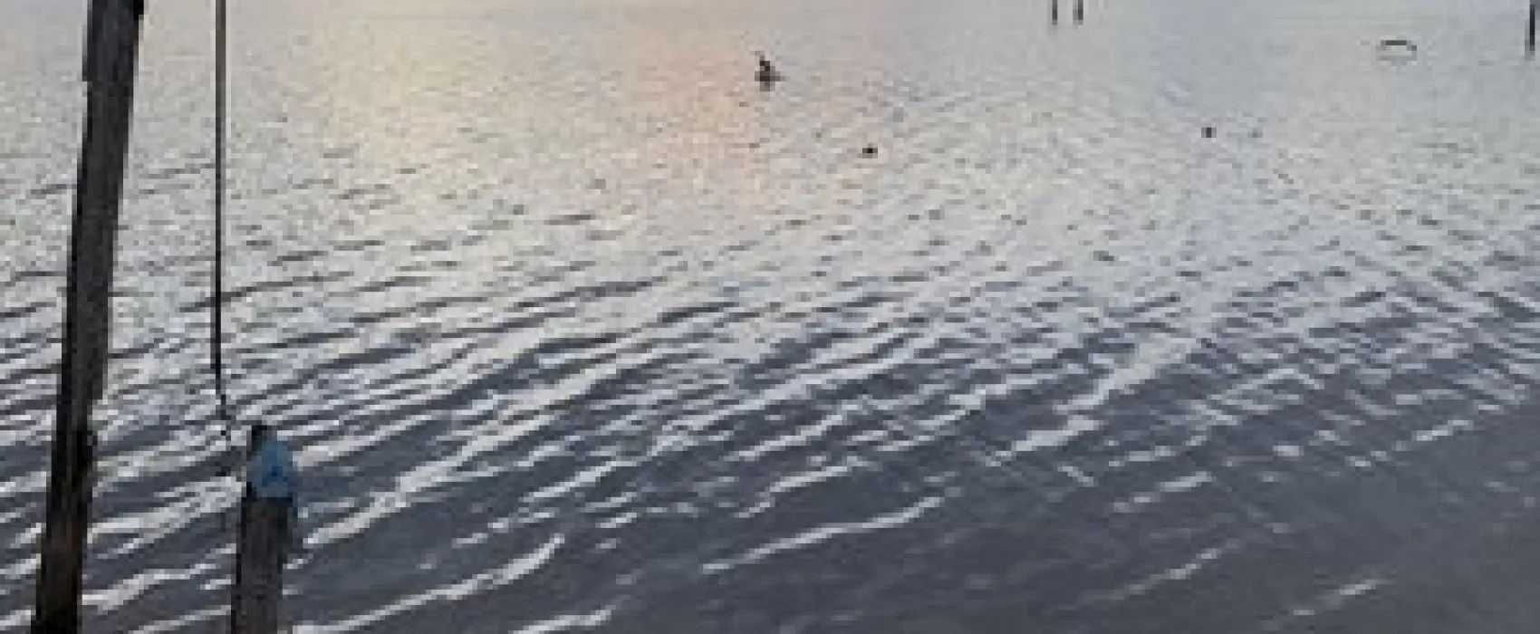 The Old Pavilion RV Park